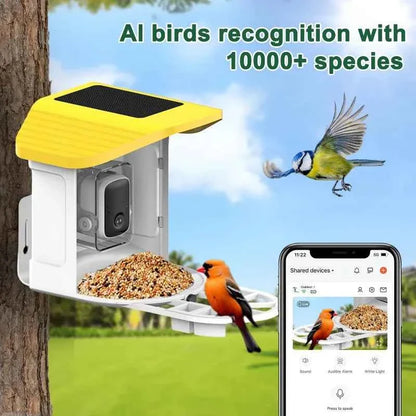 Bird Feeder AI Identify For 10000 Plus Birds Species Automatic Pet Feeder With Camera Real-time Monitor Bird Feeder With Camera