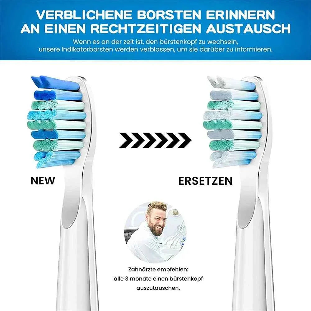 Premium Replacement Toothbrush Heads for Fairywill & Seago - Du Pont Bristles - Compatible with FW-507/508/D1/D3/D7