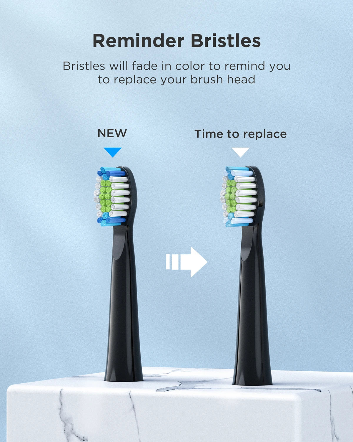 Fairywill Sonic Electric Toothbrush E11 Waterproof USB Charge Rechargeable Electric Toothbrush 8 Brush Replacement Heads Adult