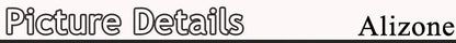 Charming White Pearl Necklace Bracelet Earring Jewelry Set Women Bridal Wedding Elegant Accessories