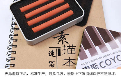 4 Pcs/box Sketch Charcoal Water-soluble Sketching Dry Materials Charcoal Brushes Charcoal Strips Art Painting Supplies