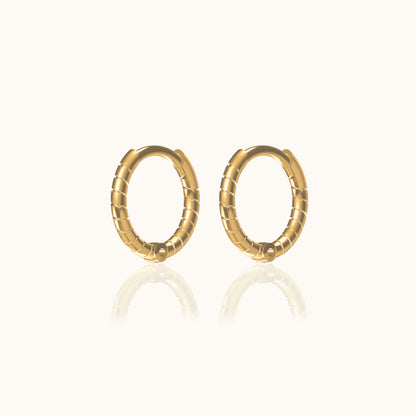 Twisted Hoop Earrings