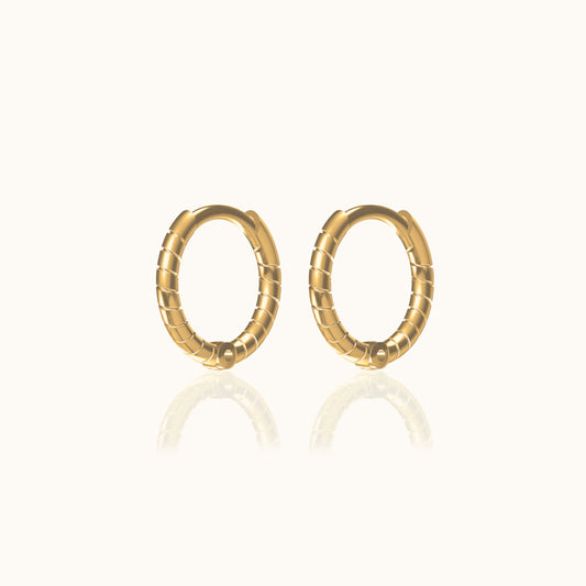 Twisted Hoop Earrings