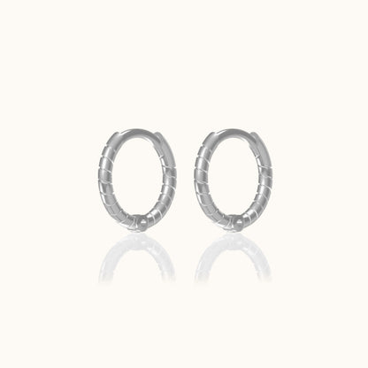 Twisted Hoop Earrings