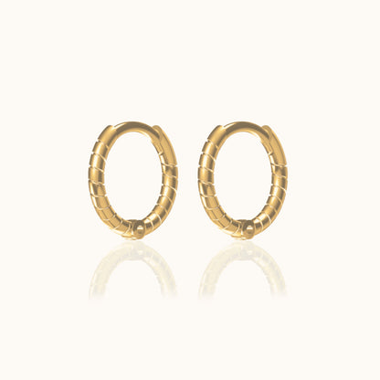 Twisted Hoop Earrings
