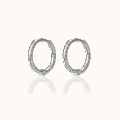 Twisted Hoop Earrings