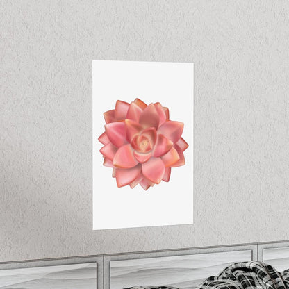 Graptosedum California Sunset Succulent Botanical Print – Unframed Wall Art