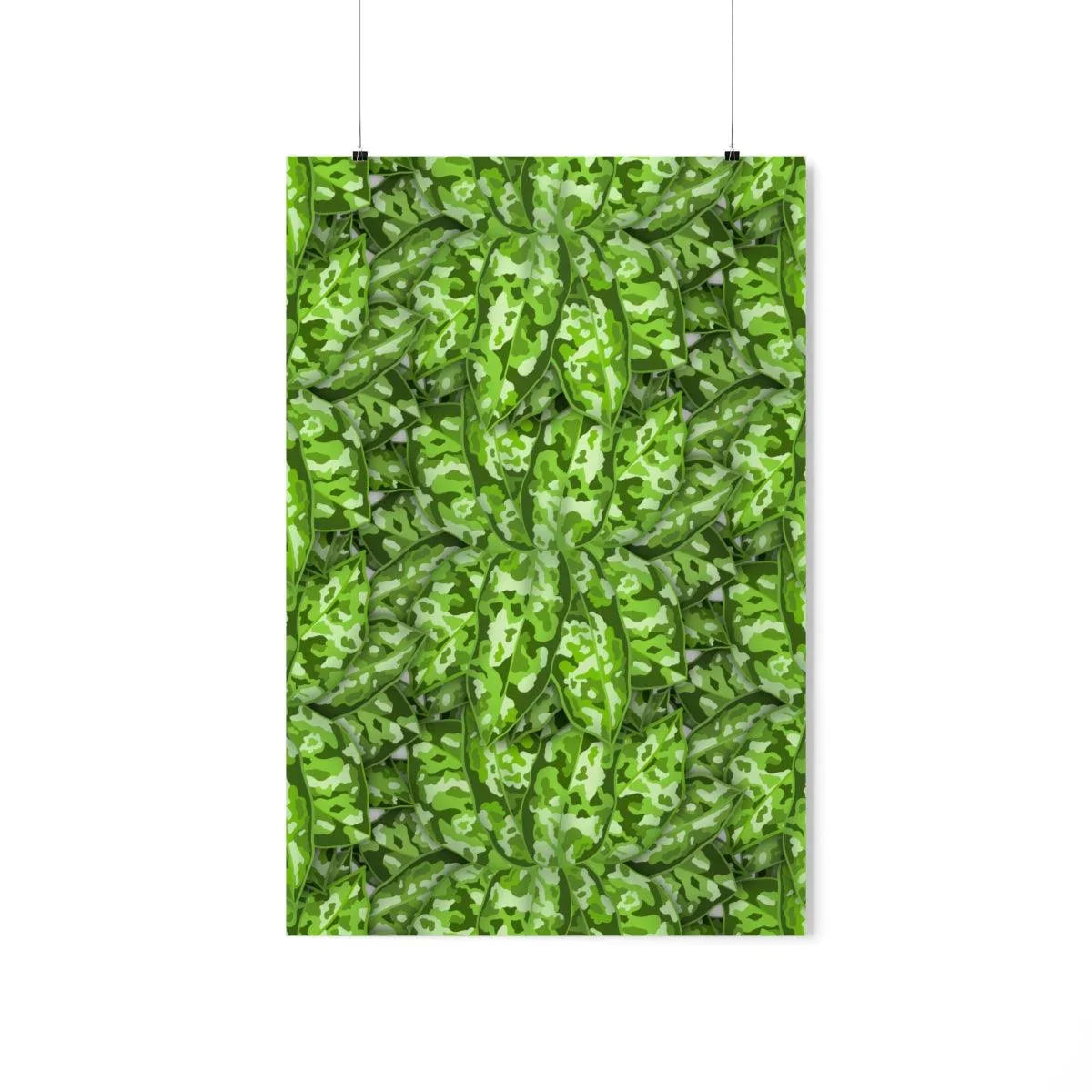 Aglaonema Pictum Botanical Print – Unframed Wall Art