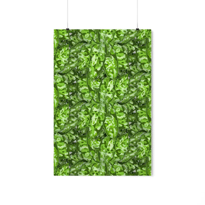 Aglaonema Pictum Botanical Print – Unframed Wall Art