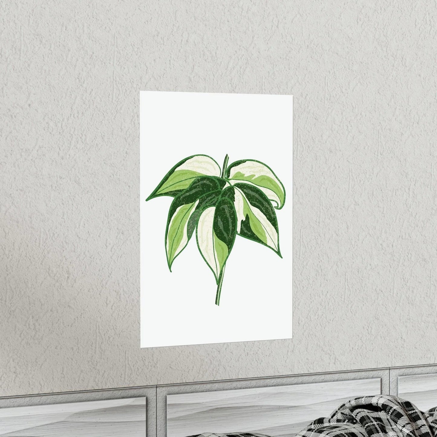 Philodendron Cream Splash Botanical Print – Unframed Wall Art