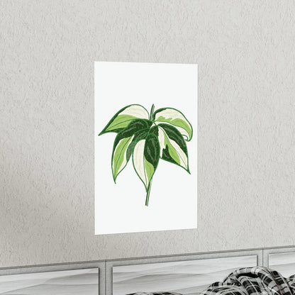 Philodendron Cream Splash Botanical Print – Unframed Wall Art