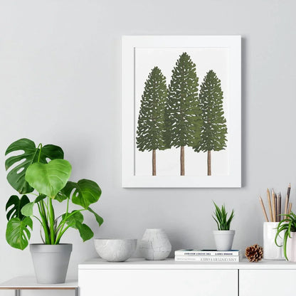 Ponderosa Pine Framed Print – Wall Art