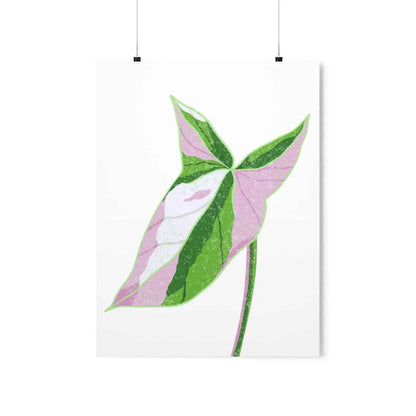 Syngonium Tricolor Botanical Print – Unframed Wall Art