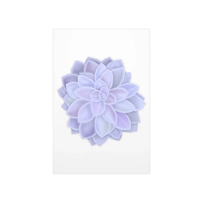 Graptopetalum Murasaki Succulent Botanical Print – Unframed Wall Art