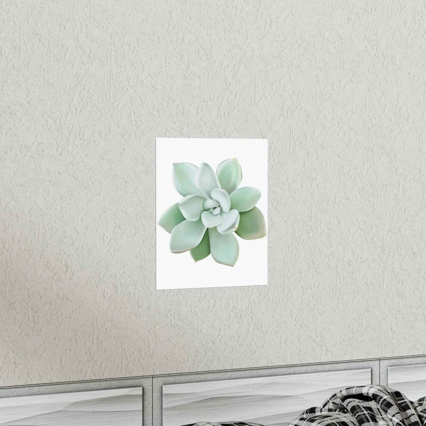 Pachyveria Haagei Succulent Botanical Print – Unframed Wall Art