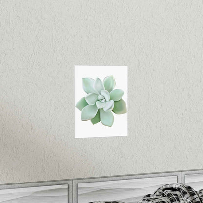 Pachyveria Haagei Succulent Botanical Print – Unframed Wall Art