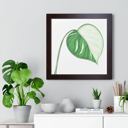 Monstera Albo Illustrated Framed Print – Botanical Wall Art