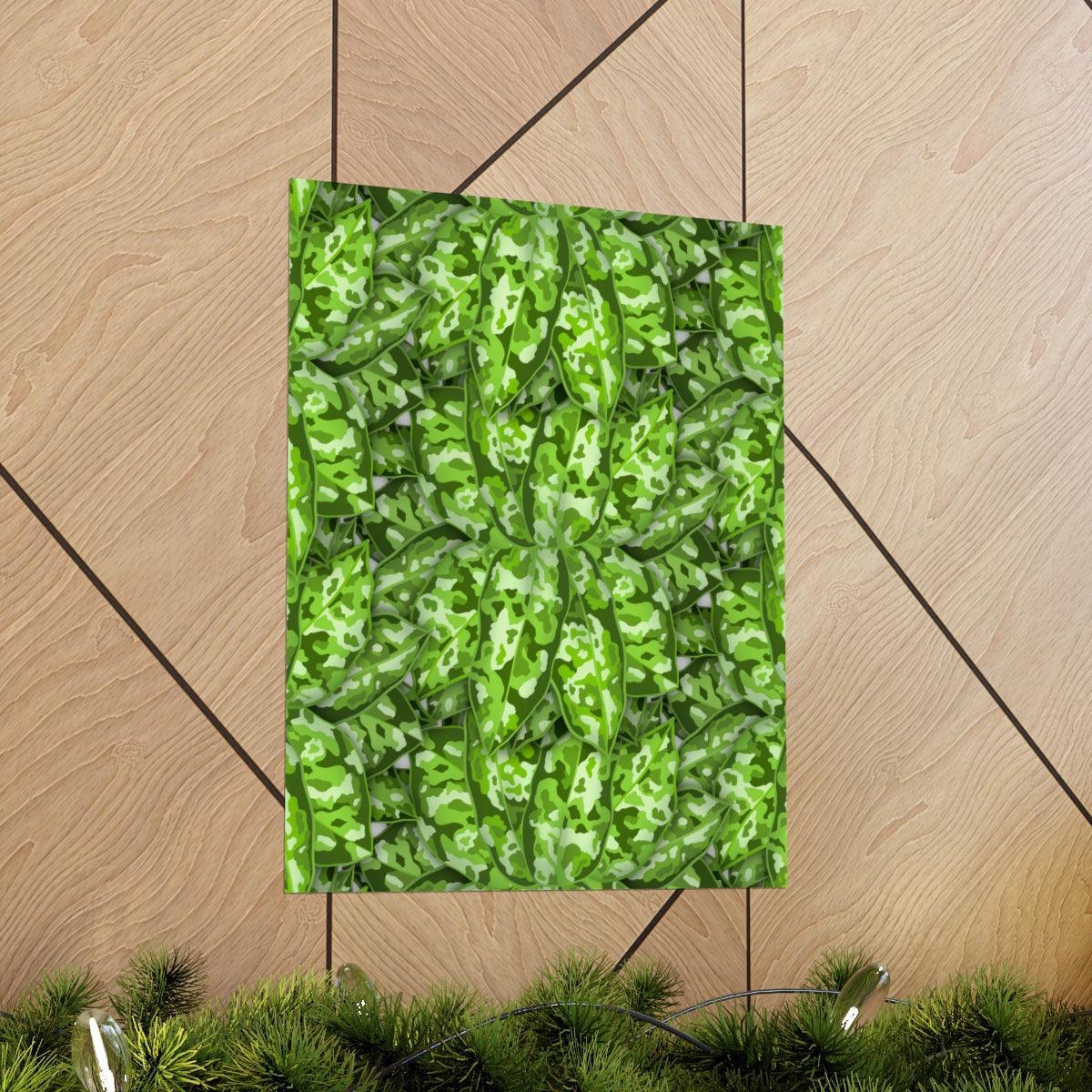 Aglaonema Pictum Botanical Print – Unframed Wall Art