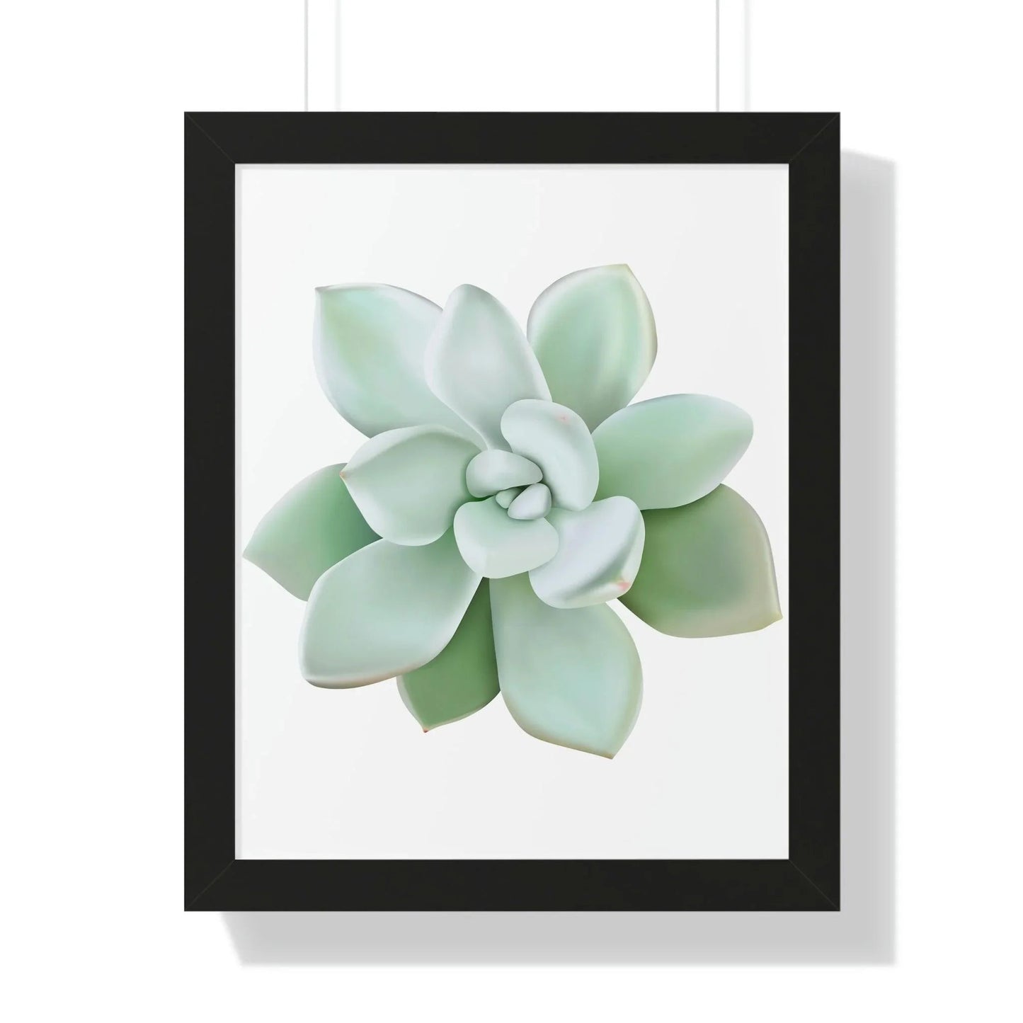 Pachyveria Haagei Succulent Framed Print – Botanical Wall Art