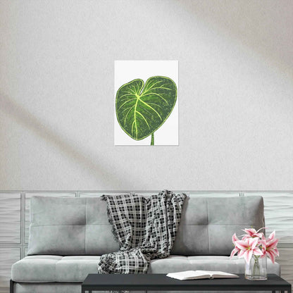Philodendron Gloriosum Botanical Print – Unframed Wall Art