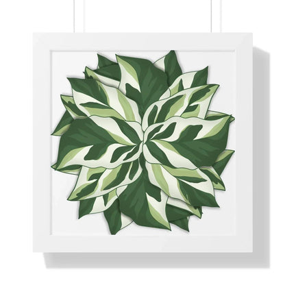 Calathea White Fusion Framed Print – Botanical Wall Art