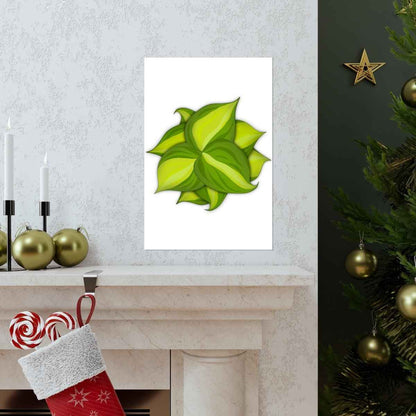 Philodendron Brasil Botanical Print – Unframed Wall Art