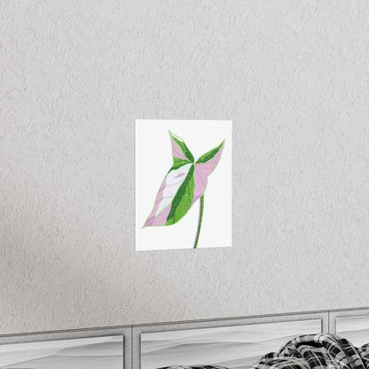 Syngonium Tricolor Botanical Print – Unframed Wall Art