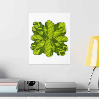 Calathea Yellow Fusion Botanical Print – Unframed Wall Art