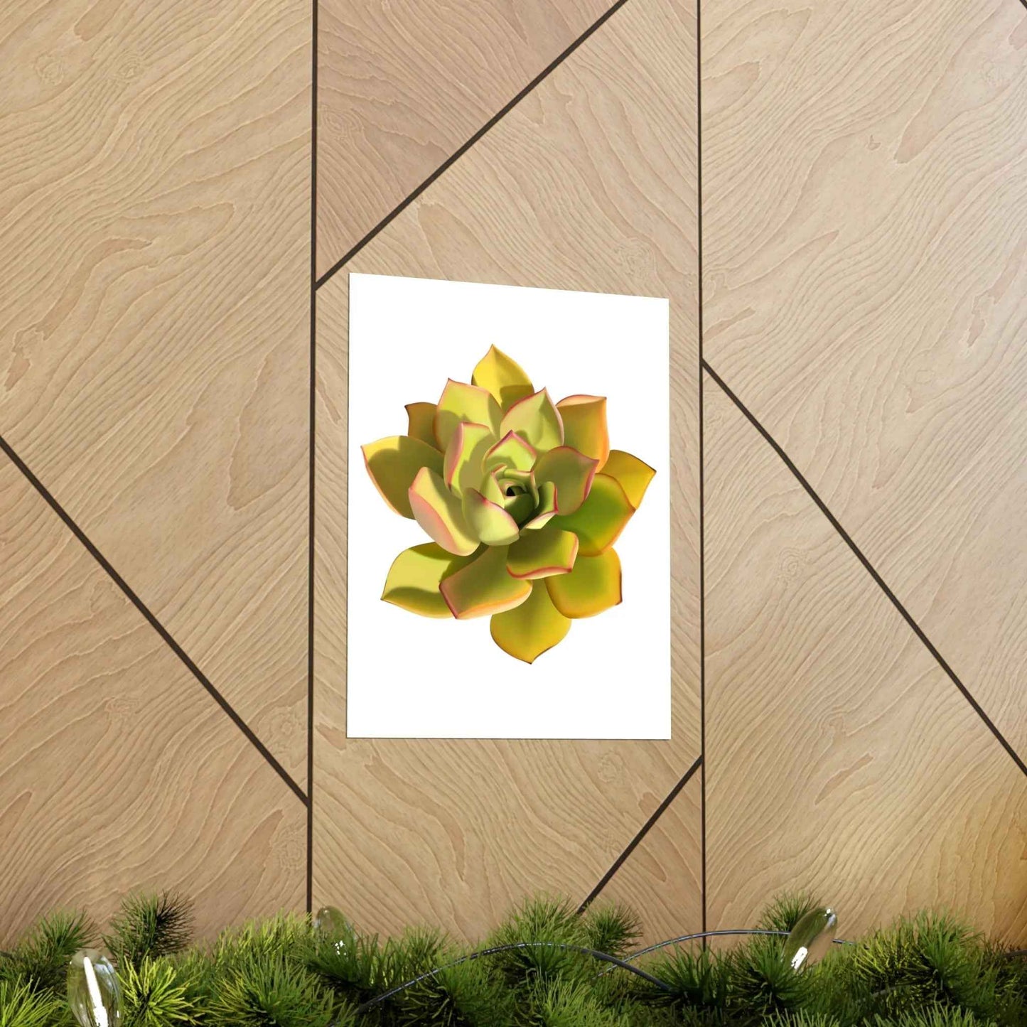 Noble Aeonium Succulent Botanical Print – Unframed Wall Art