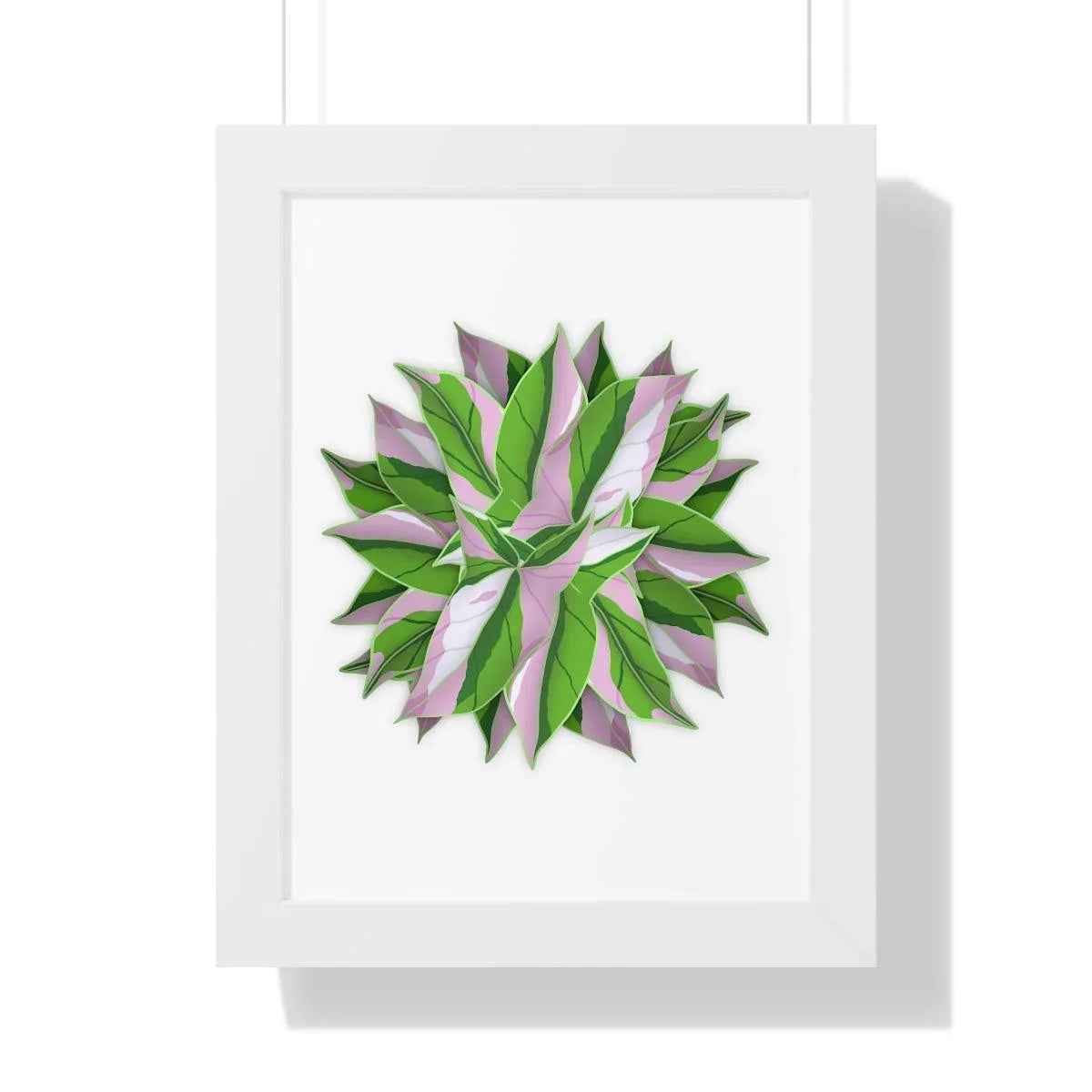 Syngonium Tricolor Pattern Framed Print – Botanical Wall Art