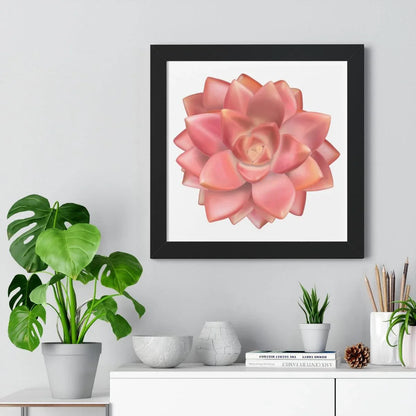 Graptosedum California Sunset Succulent Framed Print – Botanical Wall Art