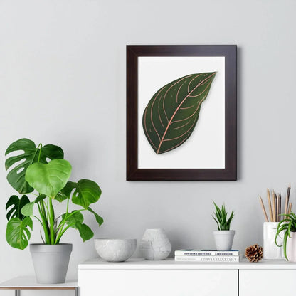 Aglaonema Rotundum Framed Print – Botanical Wall Art