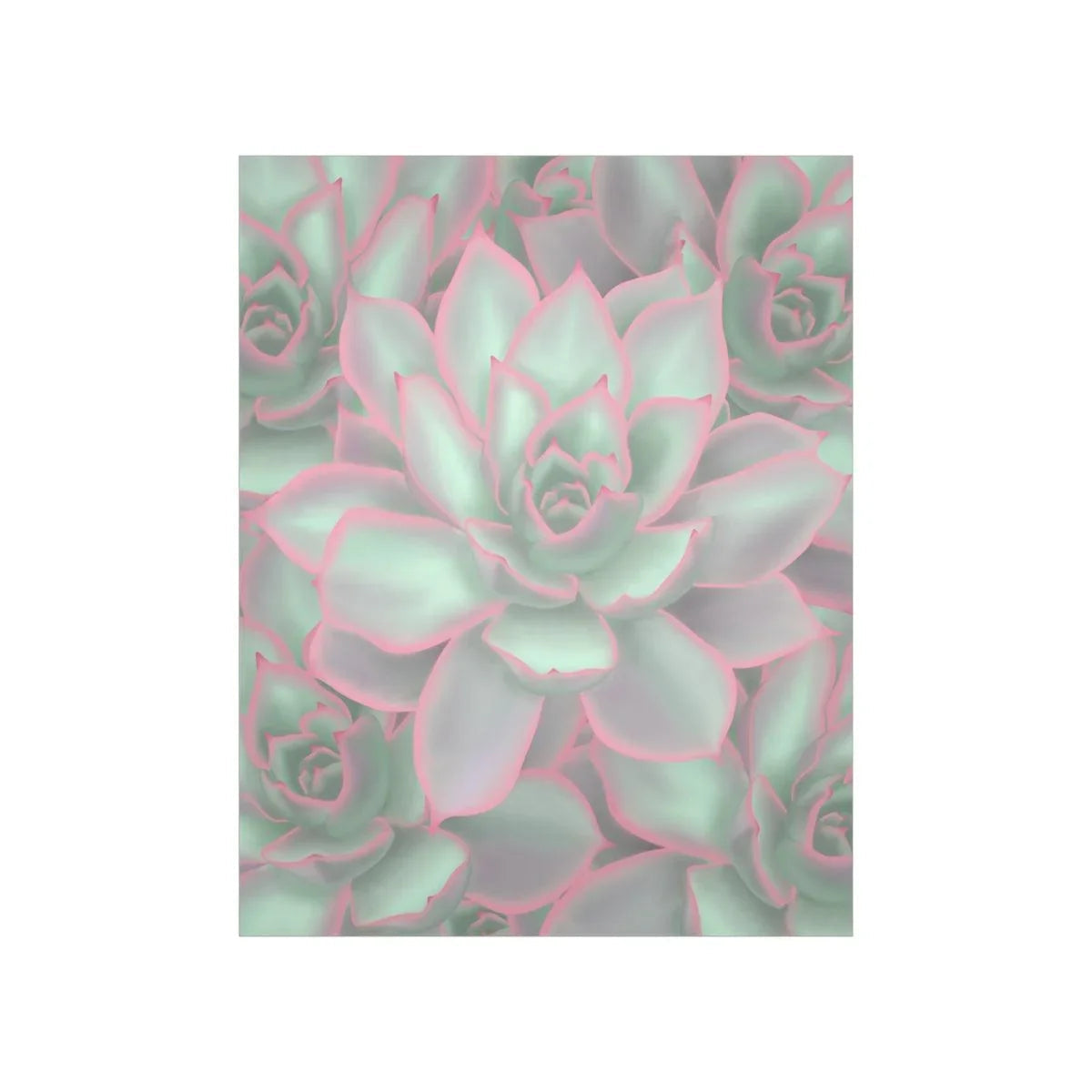 Echeveria Violet Queen Succulent Pattern Botanical Print – Unframed Wall Art