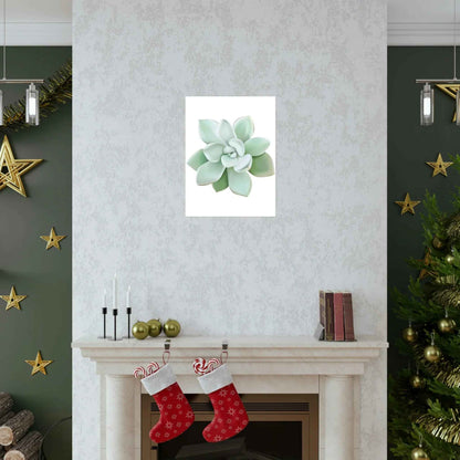 Pachyveria Haagei Succulent Botanical Print – Unframed Wall Art