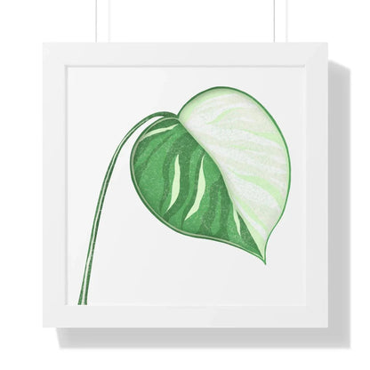 Monstera Albo Illustrated Framed Print – Botanical Wall Art