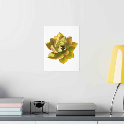 Noble Aeonium Succulent Botanical Print – Unframed Wall Art