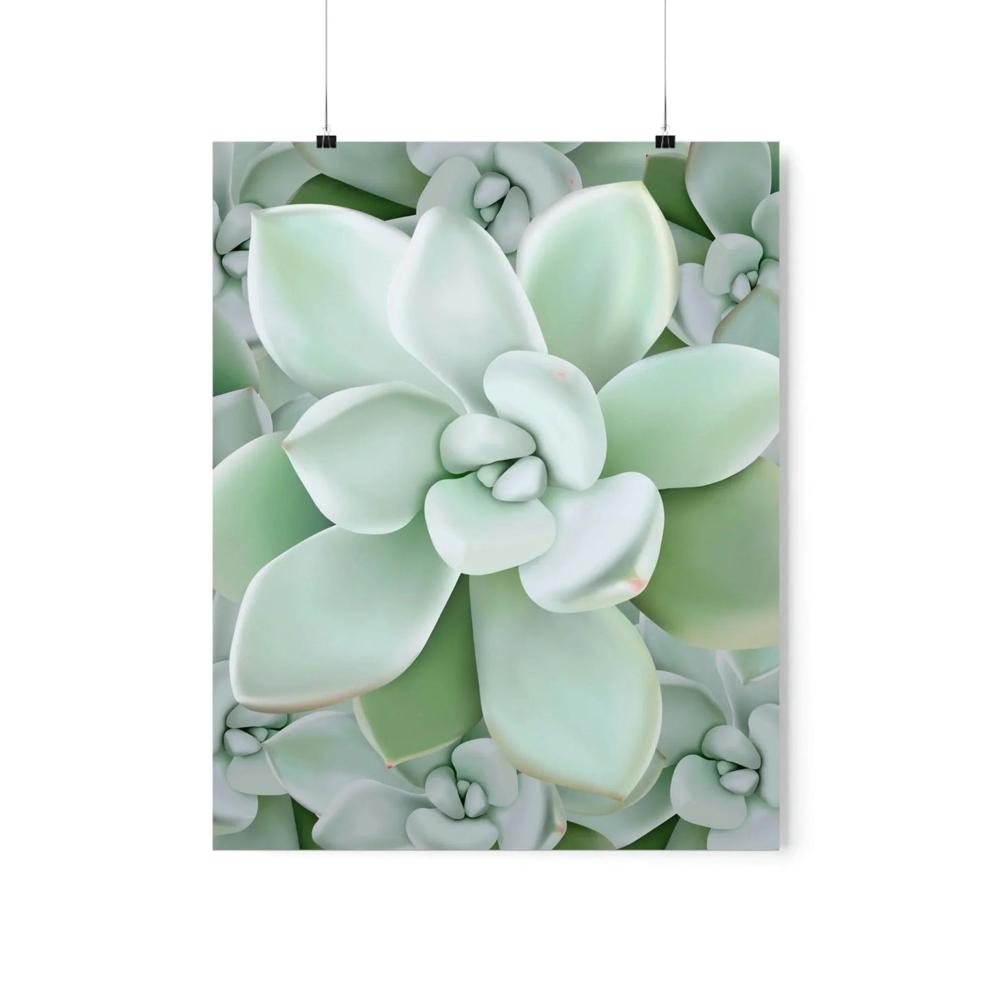 Pachyveria Haagei Succulent Pattern Botanical Print – Unframed Wall Art