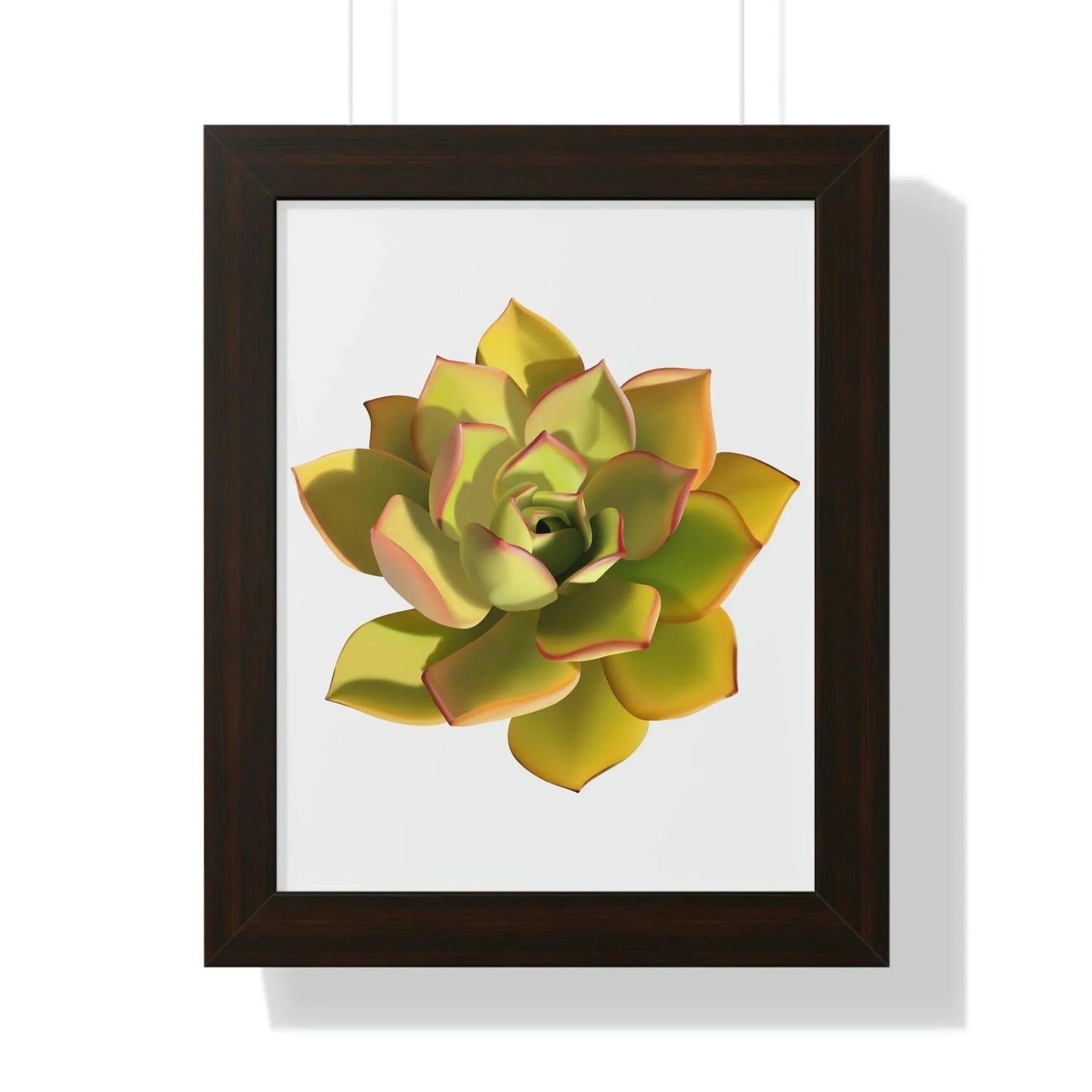Noble Aeonium Succulent Framed Print – Botanical Wall Art