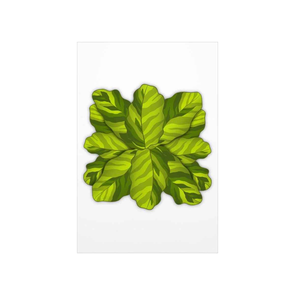 Calathea Yellow Fusion Botanical Print – Unframed Wall Art