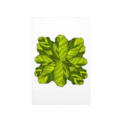 Calathea Yellow Fusion Botanical Print – Unframed Wall Art