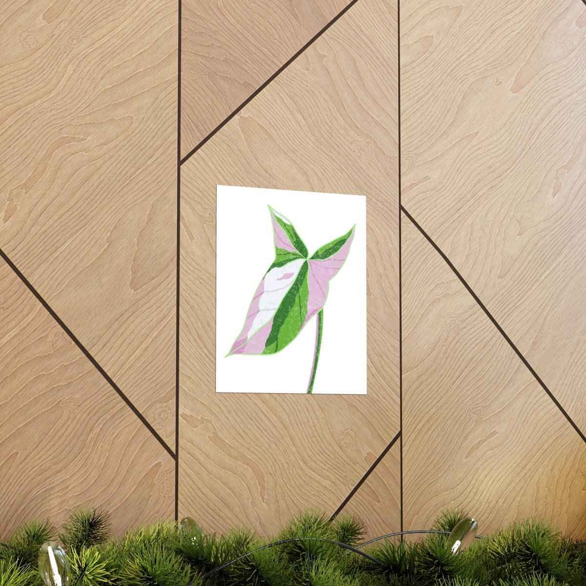 Syngonium Tricolor Botanical Print – Unframed Wall Art