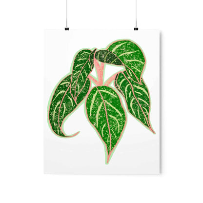 Aglaonema Sparkling Sarah Botanical Print – Unframed Wall Art