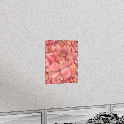 Graptosedum California Sunset Succulent Pattern Botanical Print – Unframed Wall Art