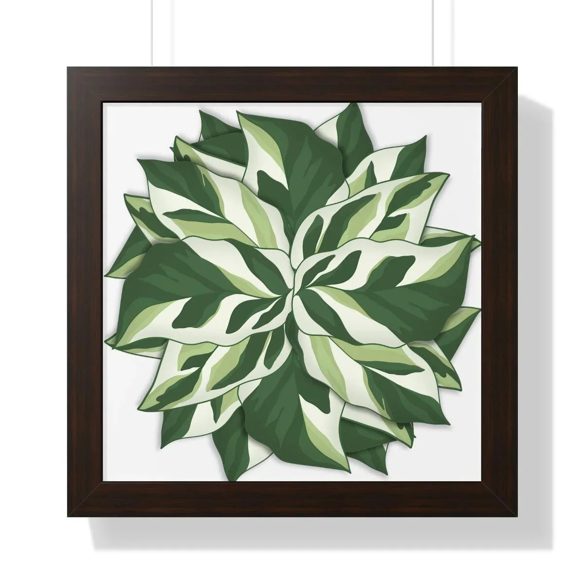 Calathea White Fusion Framed Print – Botanical Wall Art