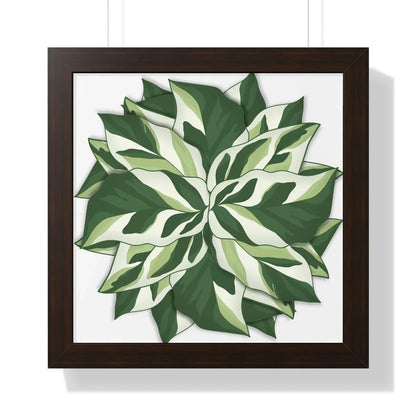 Calathea White Fusion Framed Print – Botanical Wall Art