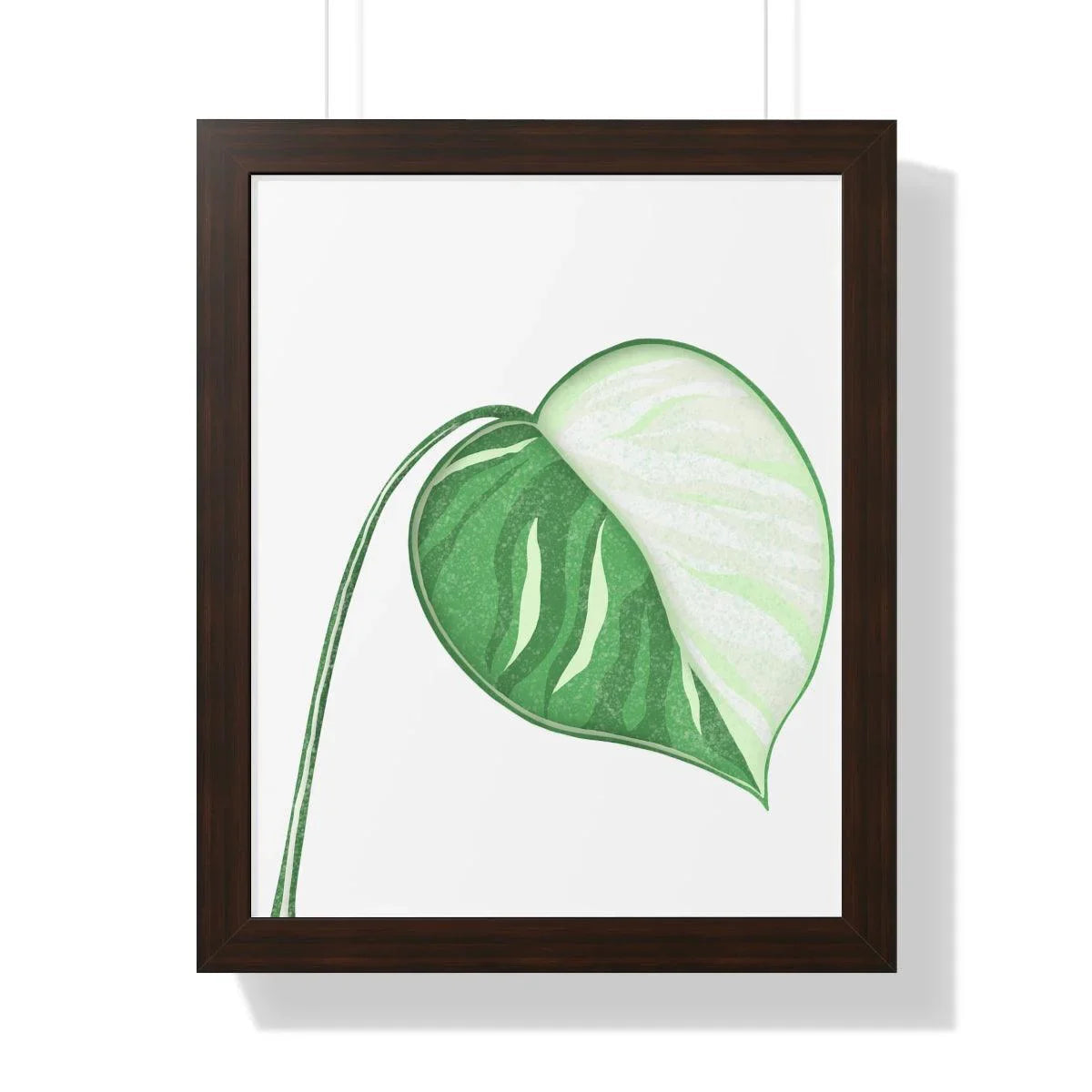 Monstera Albo Illustrated Framed Print – Botanical Wall Art