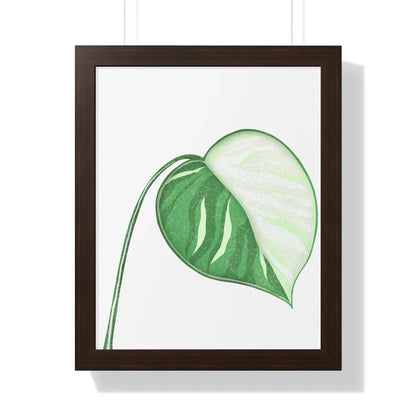 Monstera Albo Illustrated Framed Print – Botanical Wall Art