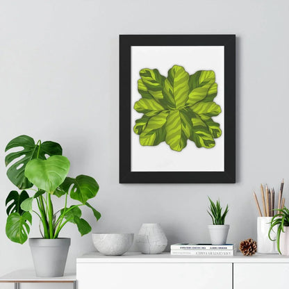 Calathea Yellow Fusion Framed Print – Botanical Wall Art