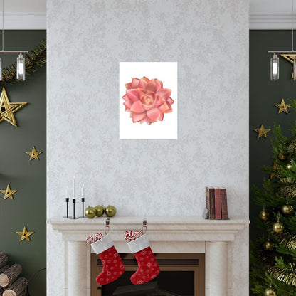 Graptosedum California Sunset Succulent Botanical Print – Unframed Wall Art