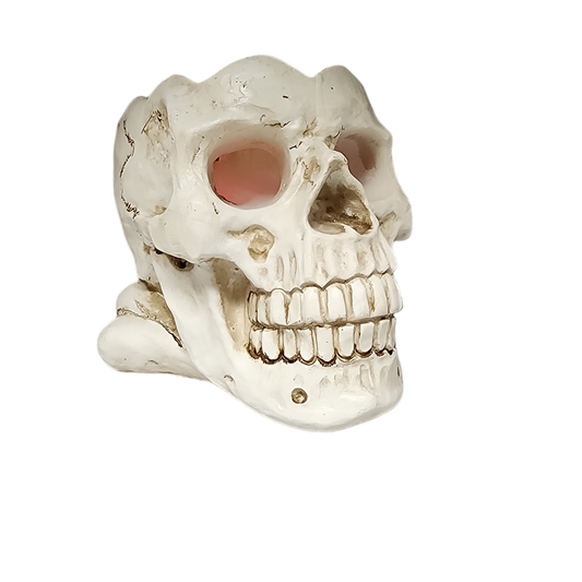 Lighted Smoking Skull